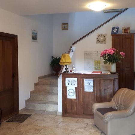 Casa Paduricea Hotel Dezmir Ngoại thất bức ảnh