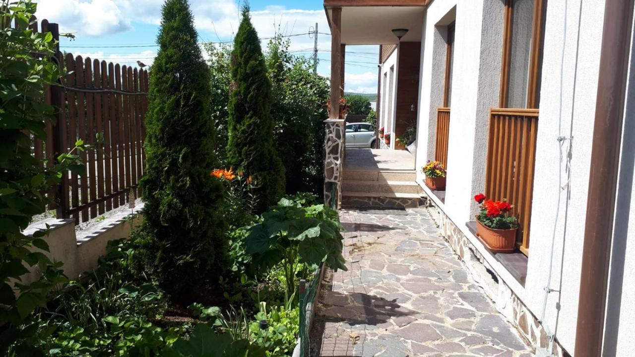 Casa Paduricea Hotel Dezmir Ngoại thất bức ảnh