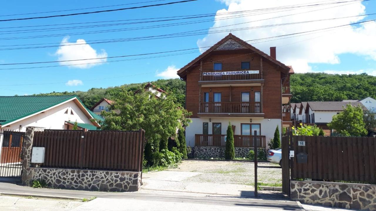 Casa Paduricea Hotel Dezmir Ngoại thất bức ảnh
