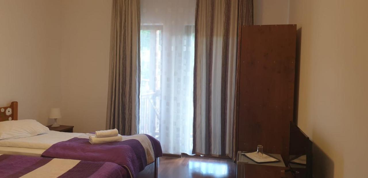 Casa Paduricea Hotel Dezmir Ngoại thất bức ảnh