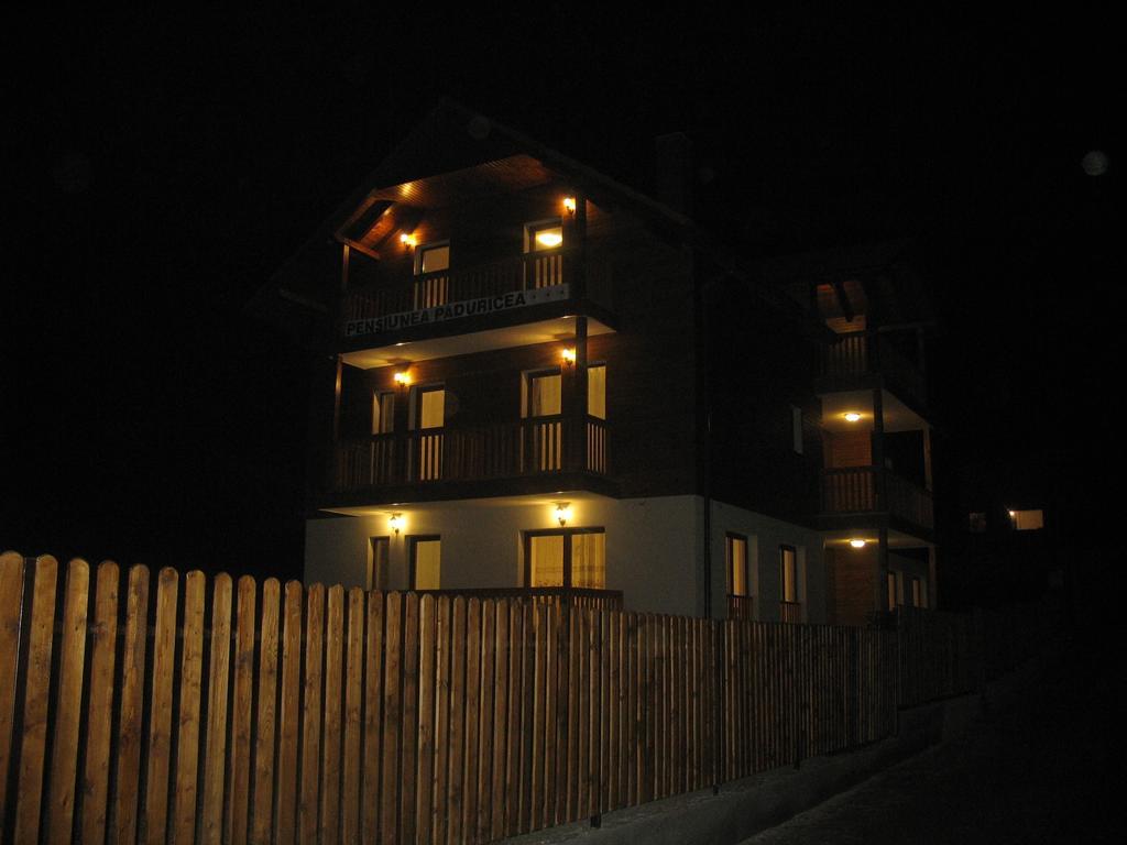Casa Paduricea Hotel Dezmir Ngoại thất bức ảnh